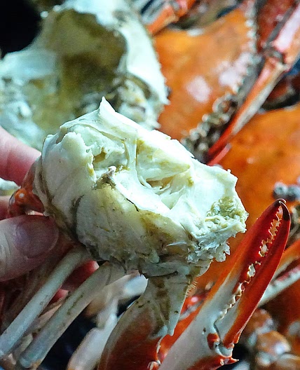 냉동 꽃게 비린내 없이 맛있게 찌는 법