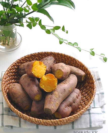 고구마 맛있게찌는법