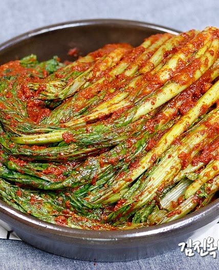 톡쏘는 맛이 좋은 돌산갓김치 맛있게 담그는법 갓김치 레시피
