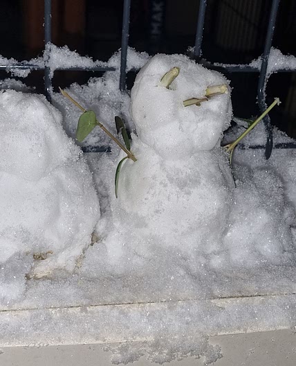 Gratin de chou-fleur