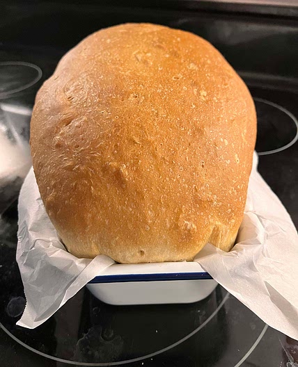 Sandwich Bread/Buns