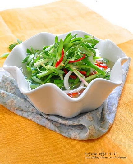 돌나물김치