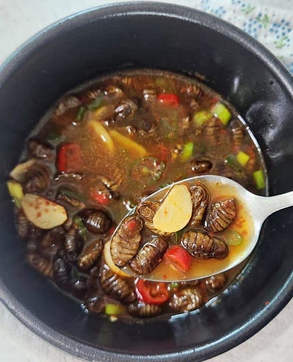 번데기탕 만드는법 소주 안주 유동 번데기탕 레시피