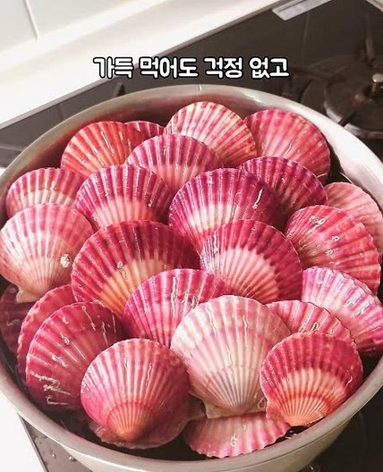 홍가리비 맛있게 먹는 3가지 방법