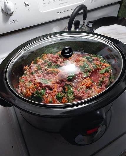 Crock Pot Dog Food - Beef