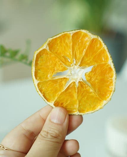과일칩만들기 식품건조기 이용하기 레몬칩도 가능