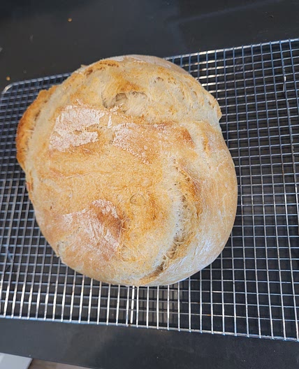 Country loaf (no knead option)