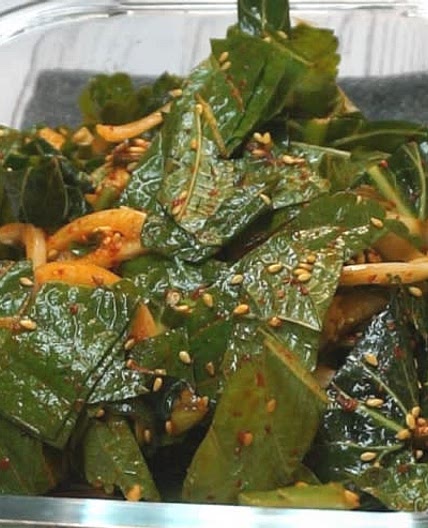 바로 먹는 깻잎 김치