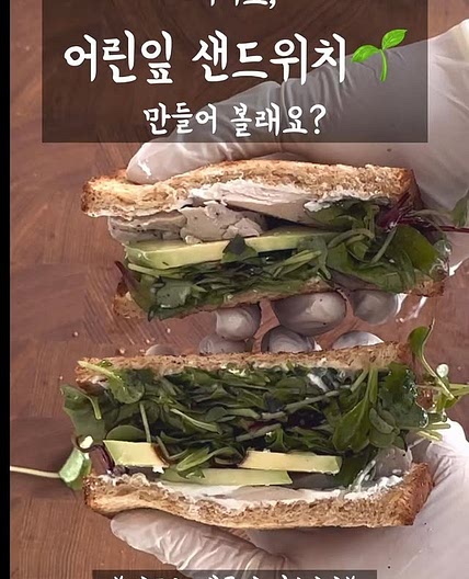 어린잎 닭가슴살 샌드위치