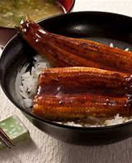 Eel Peixe Hansh