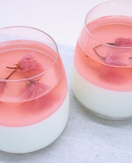 벚꽃 판나코타
