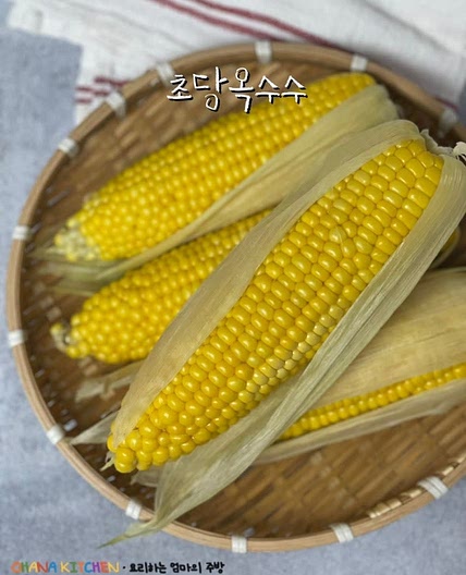 초당옥수수 찌는법 찌는시간 옥수수 맛있게 삶는 방법