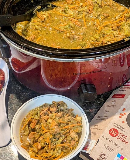 Crockpot Chicken Noodle Stew