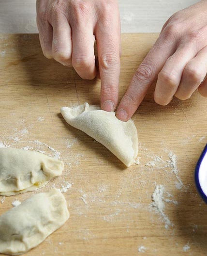 Chinese potsticker dumplings