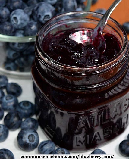 Blueberry Lime Jam