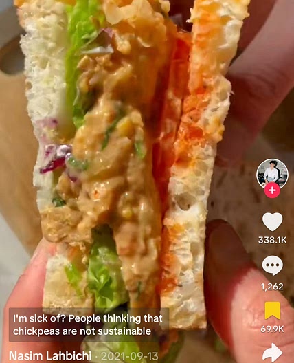 Chickpea Sandwich