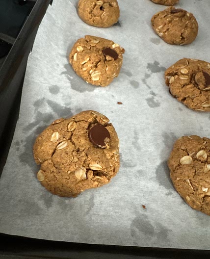 Protein Powder Cookies