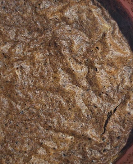 Egg with whole wheat flour