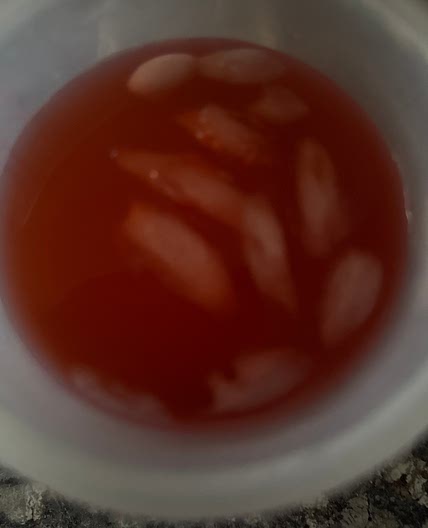 Wild punch