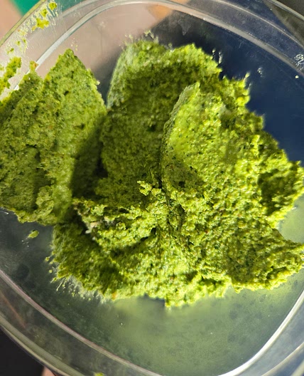 Christine's Kale Pesto
