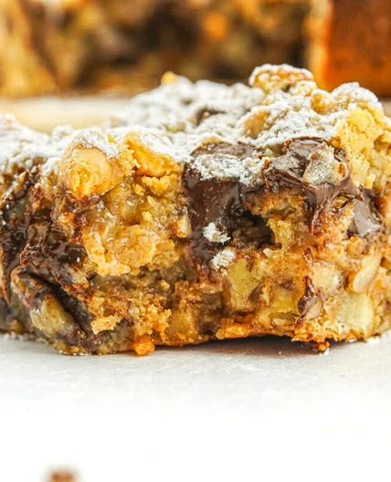 Graham Cracker Pecan Cookie Bars