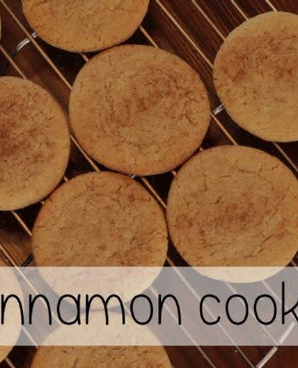 Ginger Cinnamon Cookies