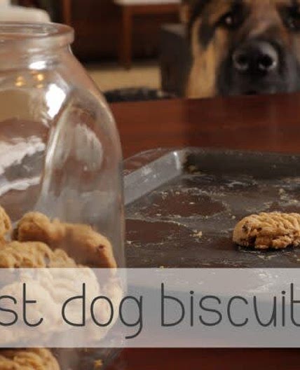 The Best Dog Biscuits