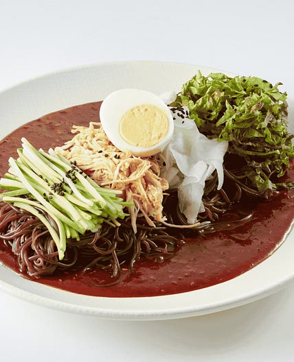 Korean Cold Noodle Soup