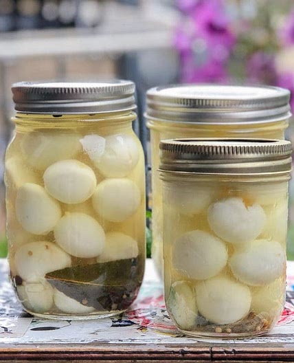 Oeufs de caille dans le vinaigre