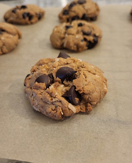 Gluten Free Lion's Mane Chocolate Chip Cookies w/Coconut