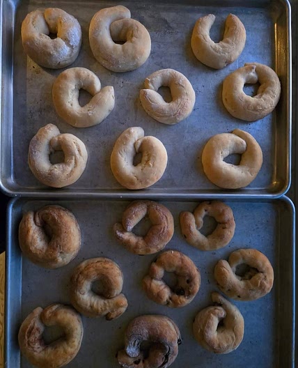 Protein Bagels