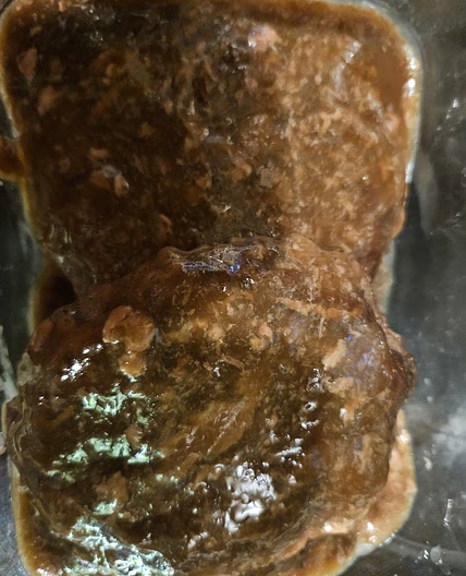 Salisbury Steaks