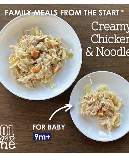 Creamy Chicken & Noodles