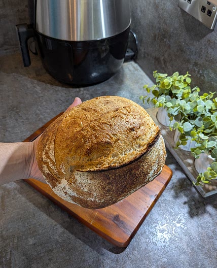 Sourdough Loaf 28% Swiss Dark flour, 69% hydration