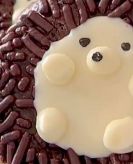 Chocolate hedgehog cookies 