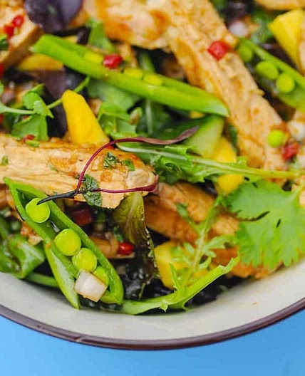 Thai Turkey Salad