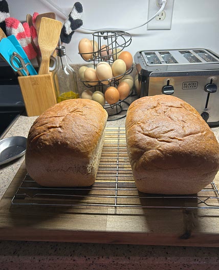 bread