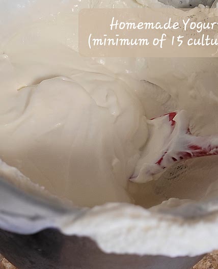 instant pot yogurt