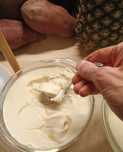 Silken Tofu