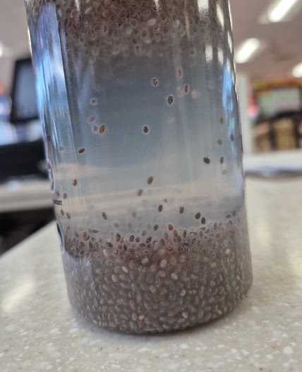 Easy Chia drink