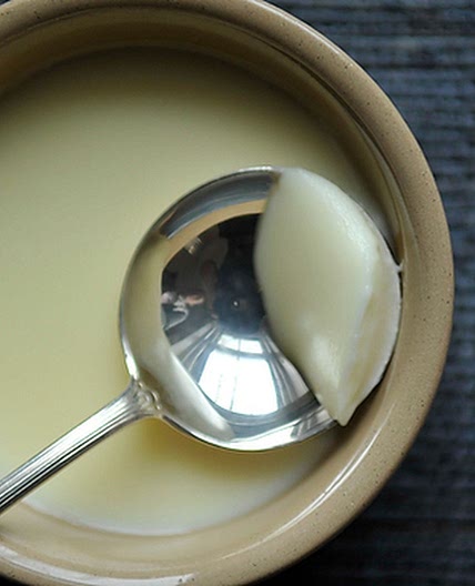 Lemon Posset