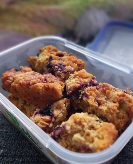 Oat and blackberry muesli bar