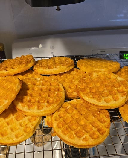 Sourdough Starter Mini Waffles