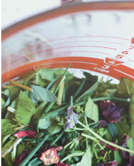 Peppermint Rosemary Lemon Hibiscus Cooler