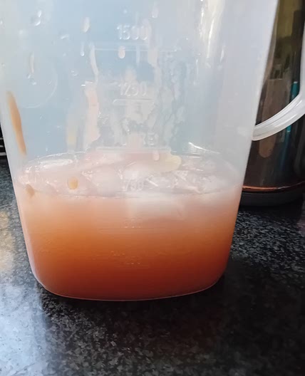 GORDON'S GIN COCKTAIL