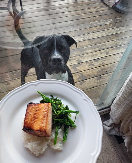 Miso Glazed Salmon