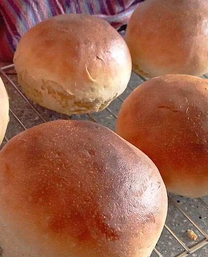 Soft sourdough rolls