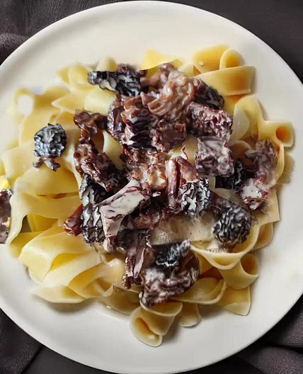 Morel Mushroom Creamy Pasta