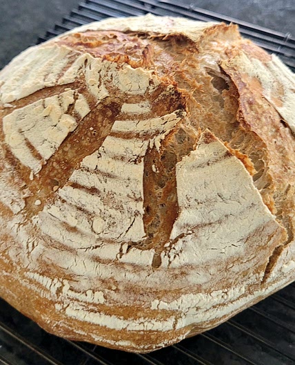 Sourdough Bread Recipe