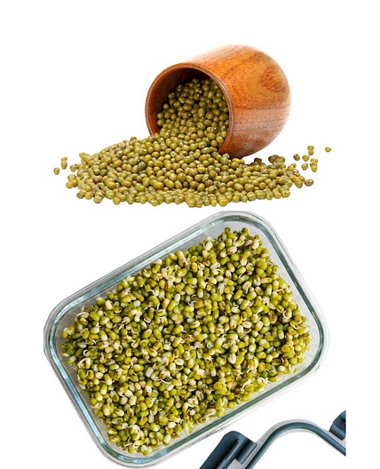 How to Sprout Mung Beans & Nutritional Benefits